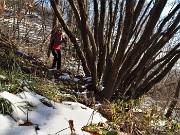 CORNAGERA e POIETO innevati ad anello da Aviatico-Cantul (3dic21)  - FOTOGALLERY